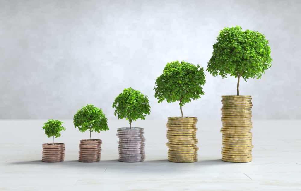 Cinq piles de pièces de monnaie de hauteurs croissantes, chacune surmontée d'un petit arbre verdoyant qui grandit proportionnellement, illustrant la croissance des investissements en capital.