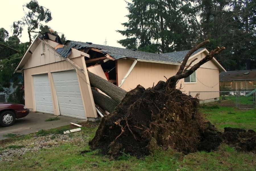 Un grand arbre déraciné s'est effondré sur le toit d'une maison lors de catastrophes naturelles.